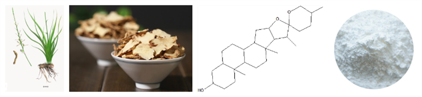 Timosaponin A3_流程图.png
