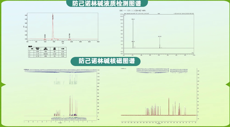 插画风文明养犬文明养宠物文明养狗物业通知全屏手机海报.jpg